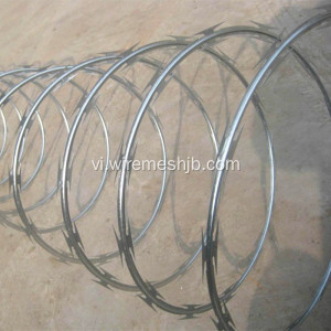 Razor Wire Fence-đơn Coil Loại